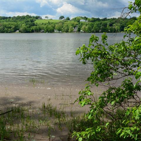 water, barn, rustic, 