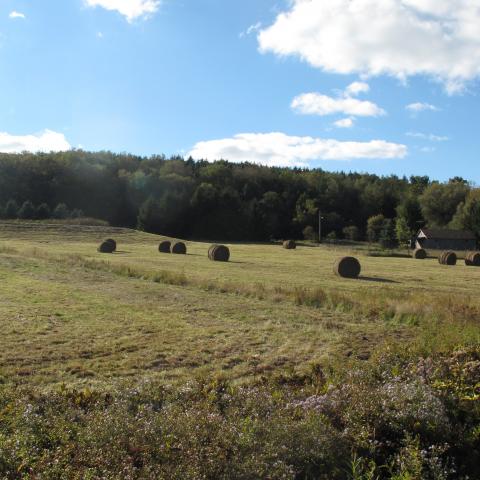 country, rural, barn, farm, 