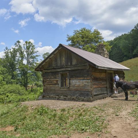 farm, farmhouse, field, water, pond, rural, stone, barn, Asheville, 