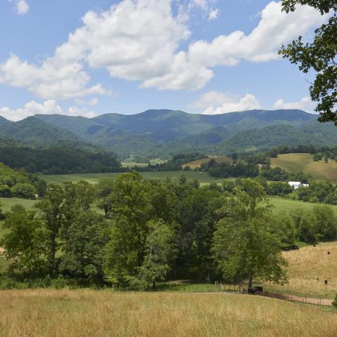 farm, farmhouse, field, water, pond, rural, stone, barn, Asheville, 