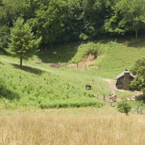 farm, farmhouse, field, water, pond, rural, stone, barn, Asheville, 