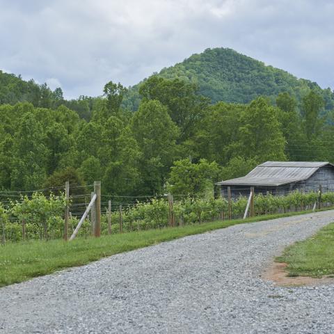 farm, farmhouse, field, water, pond, rural, stone, barn, Asheville, 