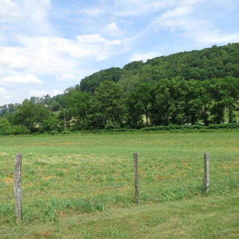 farm, farmhouse, field, water, pond, rural, stone, barn, Asheville, 