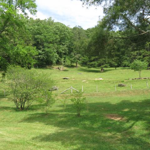 farm, farmhouse, field, water, pond, rural, stone, barn, Asheville, 