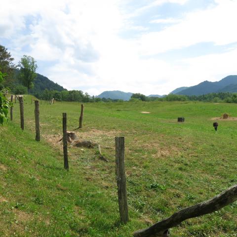 farm, farmhouse, field, water, pond, rural, stone, barn, Asheville, 