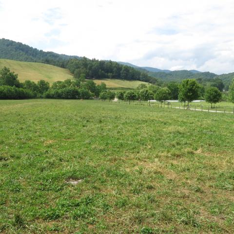 farm, farmhouse, field, water, pond, rural, stone, barn, Asheville, 