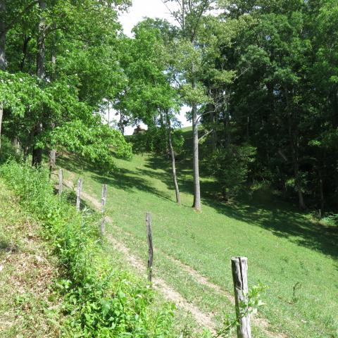 farm, farmhouse, field, water, pond, rural, stone, barn, Asheville, 