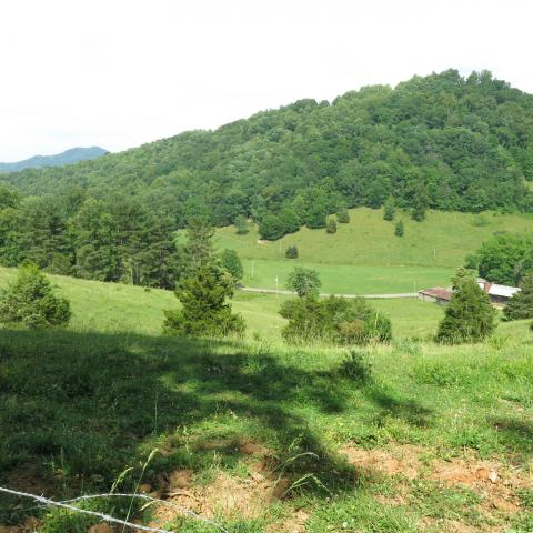 farm, farmhouse, field, water, pond, rural, stone, barn, Asheville, 