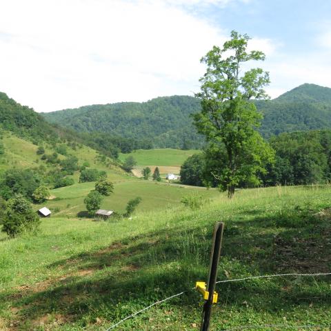 farm, farmhouse, field, water, pond, rural, stone, barn, Asheville, 