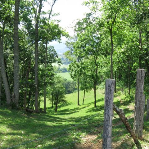 farm, farmhouse, field, water, pond, rural, stone, barn, Asheville, 