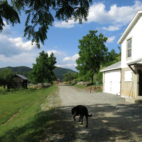 farm, farmhouse, field, water, pond, rural, stone, barn, Asheville, 