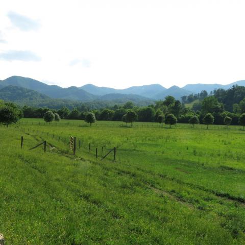 farm, farmhouse, field, water, pond, rural, stone, barn, Asheville, 