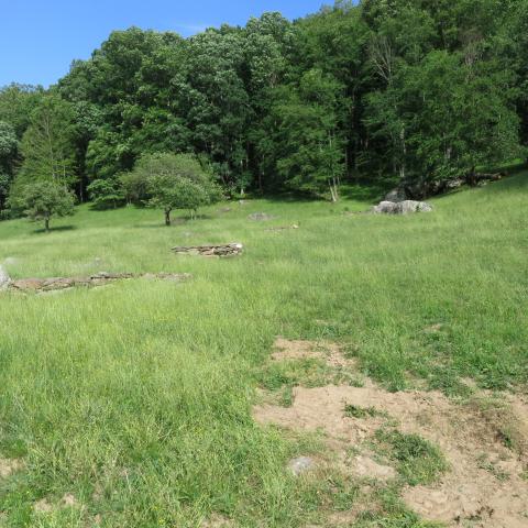 farm, farmhouse, field, water, pond, rural, stone, barn, Asheville, 