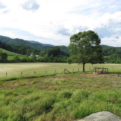 farm, farmhouse, field, water, pond, rural, stone, barn, Asheville, 