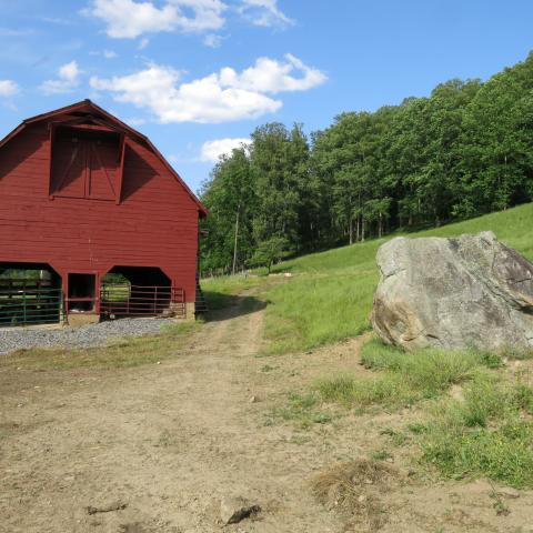 farm, farmhouse, field, water, pond, rural, stone, barn, Asheville, 