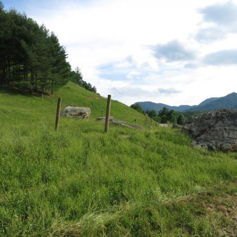 farm, farmhouse, field, water, pond, rural, stone, barn, Asheville, 