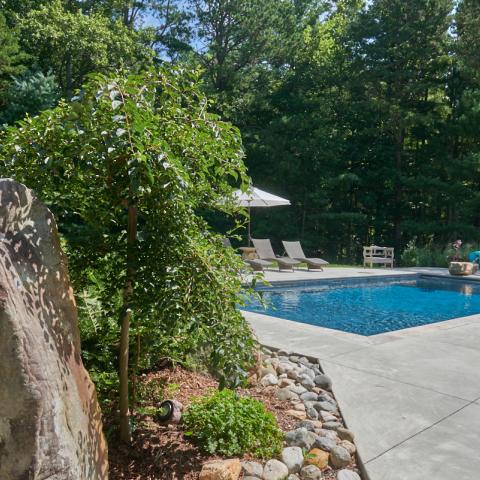 suburban, pool, kitchen, garden, bathroom, Asheville, 