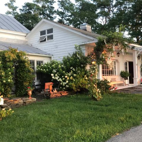 victorian, traditional, white, garden, 