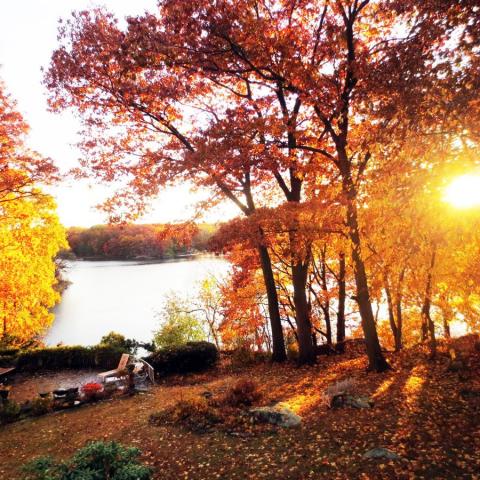 lake, rural, artist, water, colorful, 