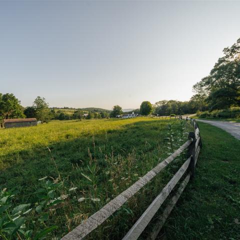 country, farm, horse, rustic, library, barn, stable, water, stone, rolling hill, greenhouse, boathouse, 