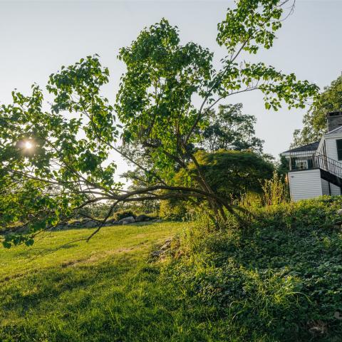 country, farm, horse, rustic, library, barn, stable, water, stone, rolling hill, greenhouse, boathouse, 