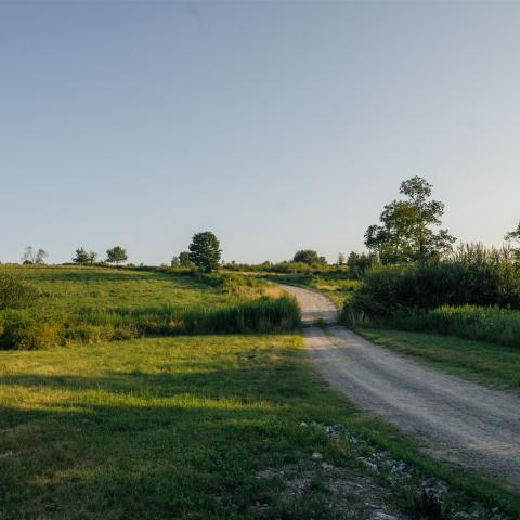 country, farm, horse, rustic, library, barn, stable, water, stone, rolling hill, greenhouse, boathouse, 