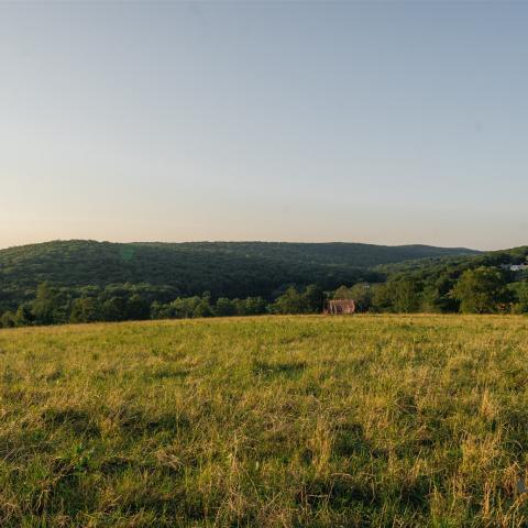 country, farm, horse, rustic, library, barn, stable, water, stone, rolling hill, greenhouse, boathouse, 