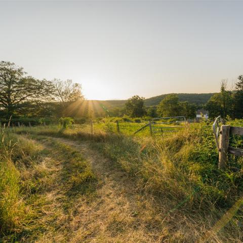 country, farm, horse, rustic, library, barn, stable, water, stone, rolling hill, greenhouse, boathouse, 