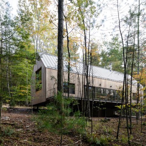 modern, contemporary, wooded, wood, deck, glass, rural, 