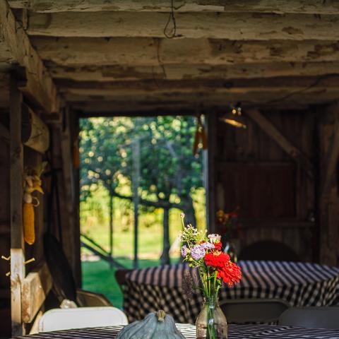 farm, farmhouse, barn, field, contemporary, light, airy, 