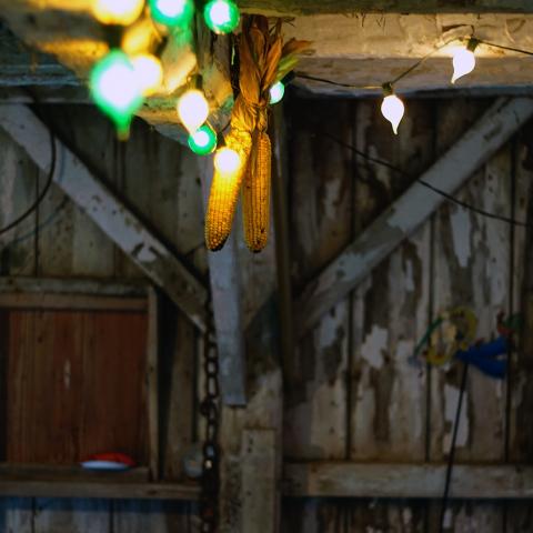 farm, farmhouse, barn, field, contemporary, light, airy, 