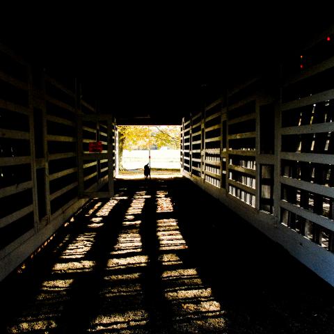 farm, farmhouse, barn, field, contemporary, light, airy, 