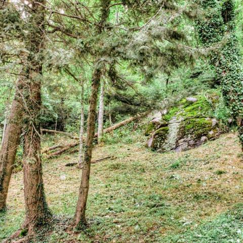 log house, cabin, stone, water, rural, Asheville, 