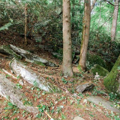 log house, cabin, stone, water, rural, Asheville, 