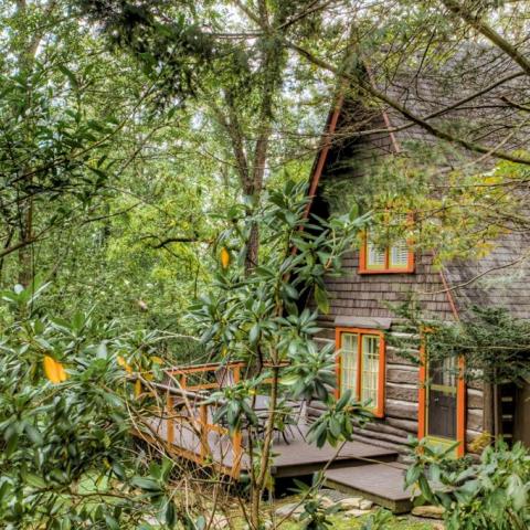 log house, cabin, stone, water, rural, Asheville, 