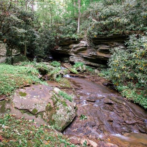 log house, cabin, stone, water, rural, Asheville, 