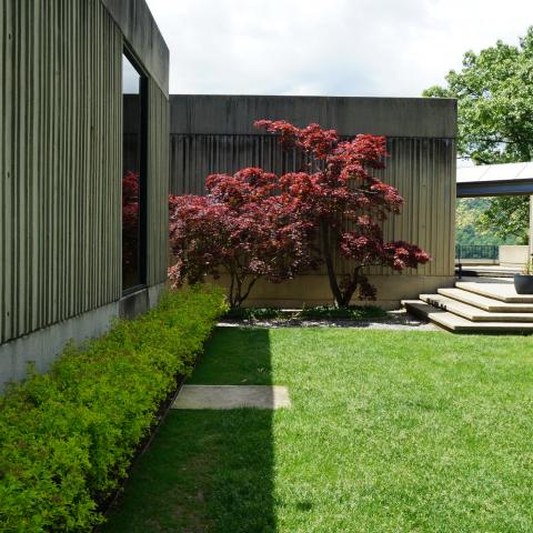 concrete, modern, museum, water, staircase, industrial, 