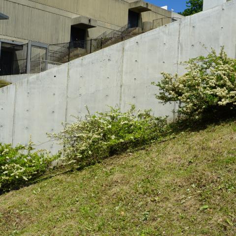 concrete, modern, museum, water, staircase, industrial, 