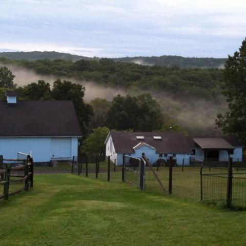 farm, field, barn, 