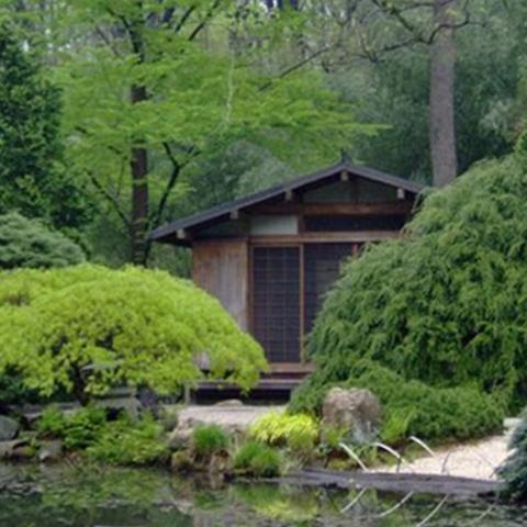 garden, zen, bridge, wooded, 