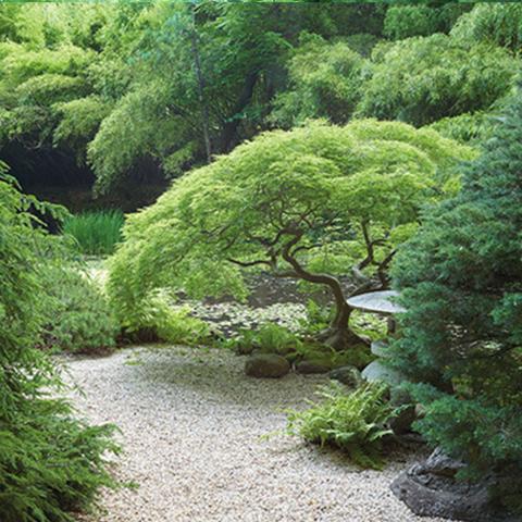 garden, zen, bridge, wooded, 