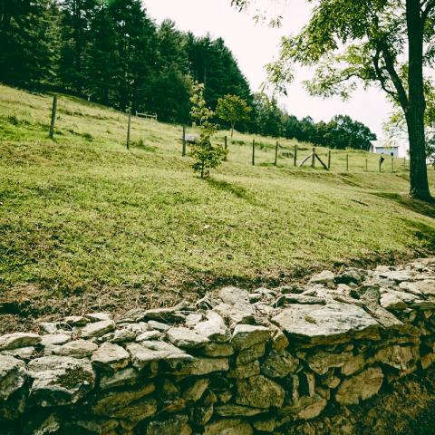 farm, farmhouse, field, water, pond, rural, stone, barn, Asheville, 