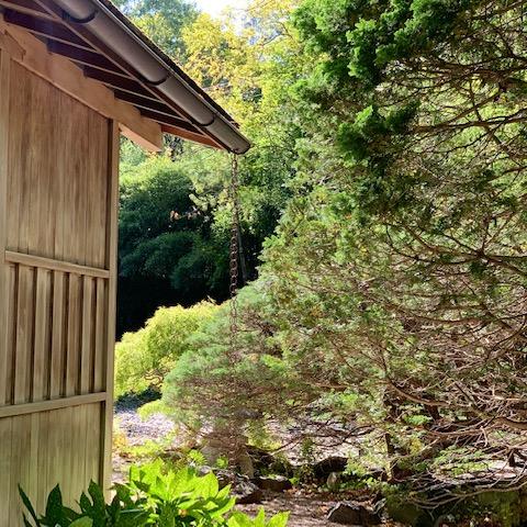 garden, zen, bridge, wooded, 