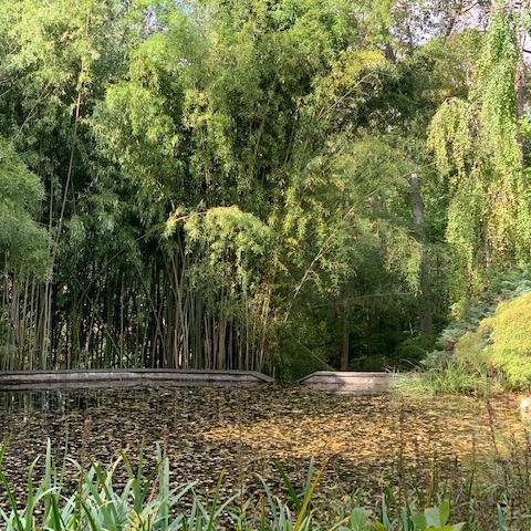 garden, zen, bridge, wooded, 