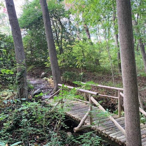 garden, zen, bridge, wooded, 