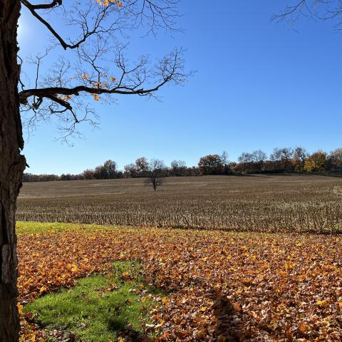 farmhouse, farm, rural, country, field, lake, barn, porch, 