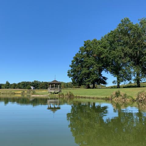 farmhouse, farm, rural, country, field, lake, barn, porch, 