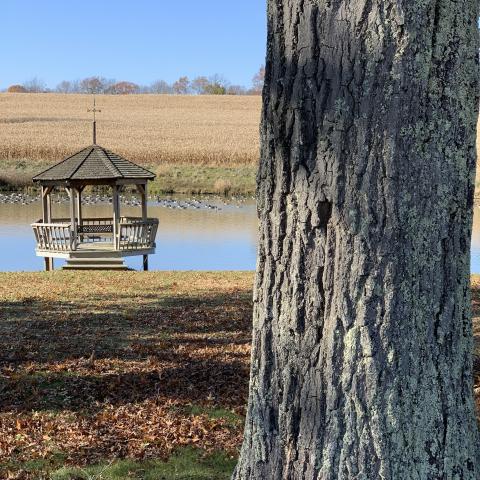 farmhouse, farm, rural, country, field, lake, barn, porch, 