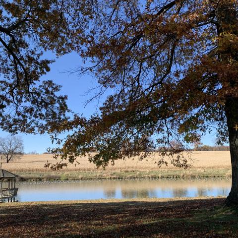 farmhouse, farm, rural, country, field, lake, barn, porch, 