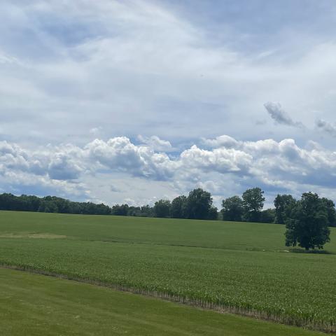 farmhouse, farm, rural, country, field, lake, barn, porch, 